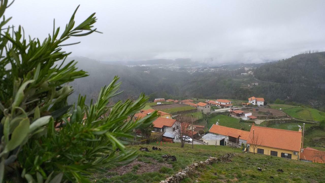 瓦莱迪坎布拉Casa Da Boa Vista Em Viadal别墅 外观 照片